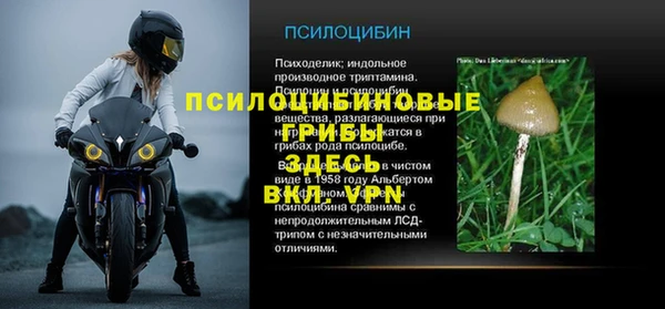 таблы Надым