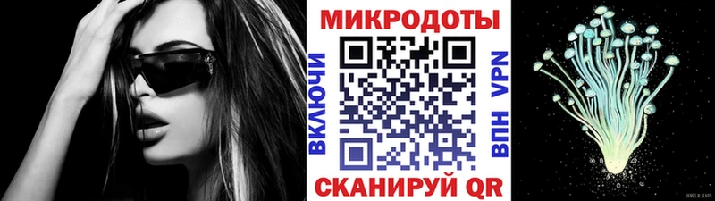 Галлюциногенные грибы Psilocybe Ставрополь