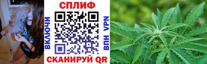 где продают   Ставрополь  МАРИХУАНА VHQ 