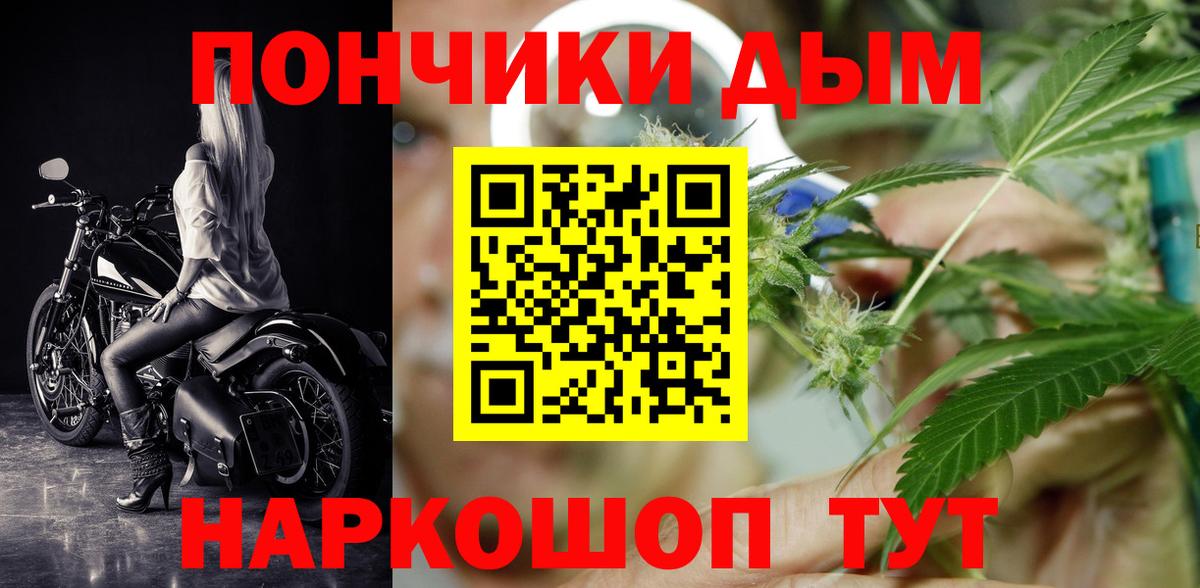 Шишки марихуана семена Ставрополь